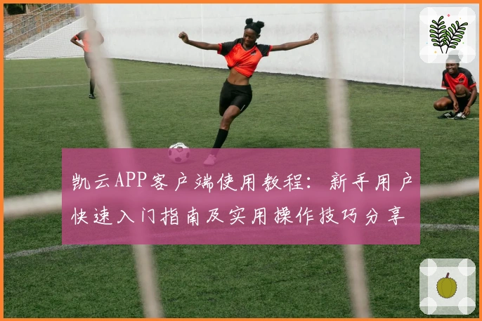 凯云APP客户端使用教程：新手用户快速入门指南及实用操作技巧分享